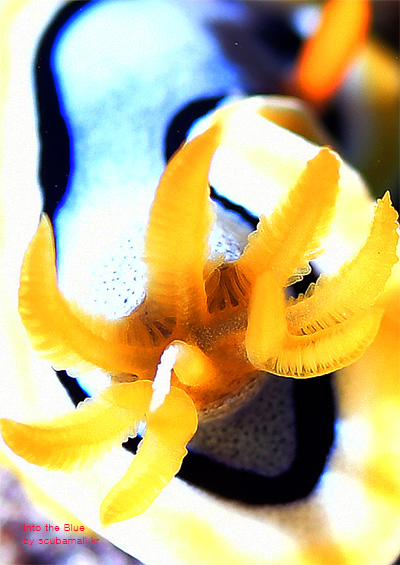 c7749a15b422859c445f252f5b5c7f7b_1730168591_2929.jpg