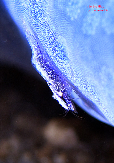 c7749a15b422859c445f252f5b5c7f7b_1730168626_2959.jpg
