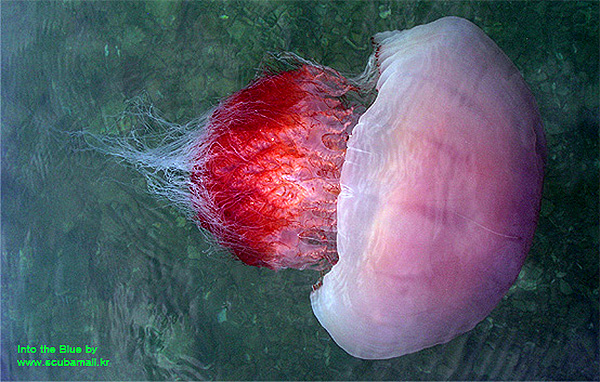 1c38e01a89371f27c06dea1fcfa8b608_1732079894_6456.jpg