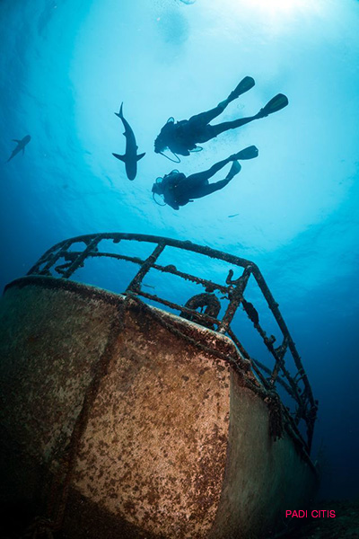 3d24142a87288b80d9ceb3d404f0638d_1764895132_5982.jpg 3d24142a87288b80d9ceb3d404f0638d_1764895132_5982.jpg