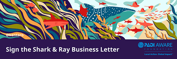 3d24142a87288b80d9ceb3d404f0638d_1764895132_7821.jpg 3d24142a87288b80d9ceb3d404f0638d_1764895132_7821.jpg