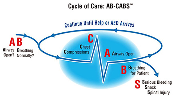 3df5cf90c91700a900eb03d18ca2d3fd_1765241841_4262.jpg 3df5cf90c91700a900eb03d18ca2d3fd_1765241841_4262.jpg
