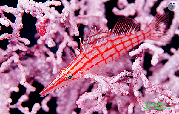 6ffbea293b9afa9e6b9a1d1321c8adec_1765324835_9485.jpg 6ffbea293b9afa9e6b9a1d1321c8adec_1765324835_9485.jpg