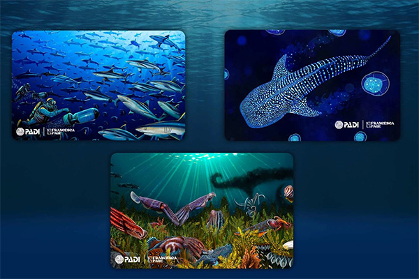 ccca41d99dd3d178ee3e31cadf39a6fa_1764982027_5754.jpg ccca41d99dd3d178ee3e31cadf39a6fa_1764982027_5754.jpg