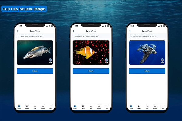 ccca41d99dd3d178ee3e31cadf39a6fa_1764982027_659.jpg ccca41d99dd3d178ee3e31cadf39a6fa_1764982027_659.jpg