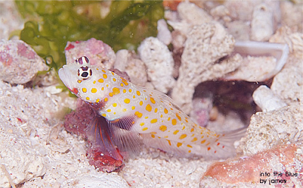 de592f551f3dcfd04839f48747519800_1770076096_9196.jpg de592f551f3dcfd04839f48747519800_1770076096_9196.jpg